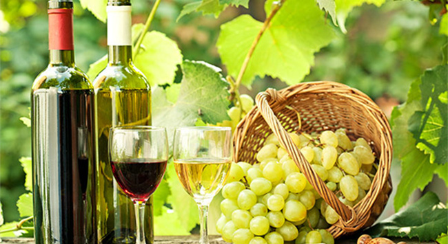 114_副本 114_副本