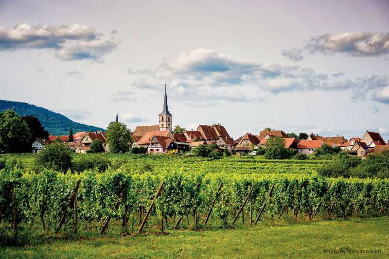 法國黑皮諾葡萄酒產區(qū)