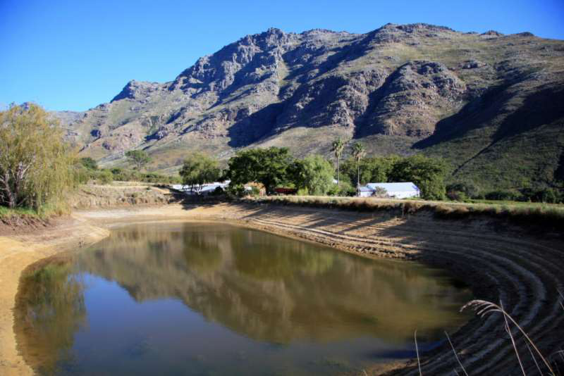 開普敦水荒，南非葡萄酒何去何從